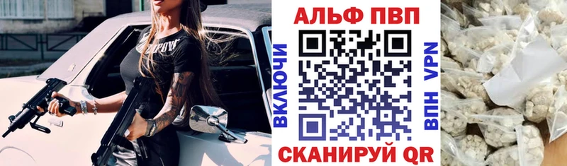 A PVP СК КРИС  Инта 