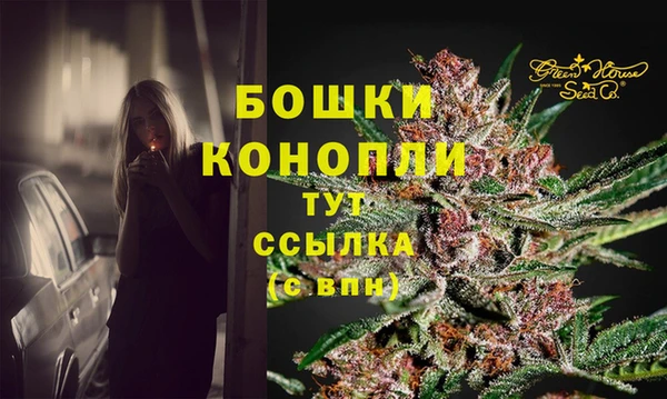 PSILOCYBIN Вяземский