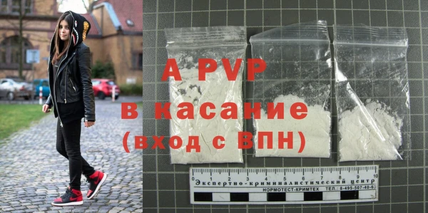 PSILOCYBIN Вяземский