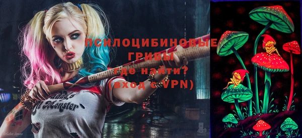 apvp Вязники
