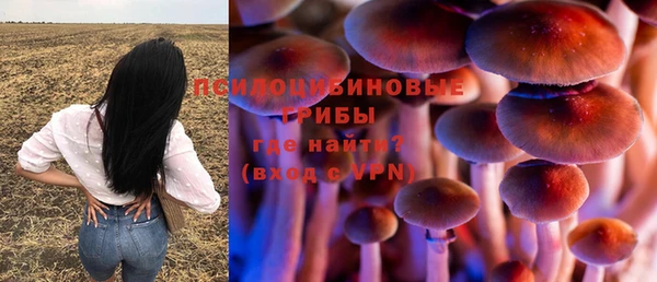 PSILOCYBIN Вяземский