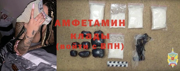 PSILOCYBIN Вяземский