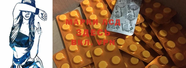 apvp Вязники