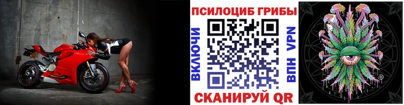 Псилоцибиновые грибы мухоморы блэк спрут маркетплейс Инта цена наркотик