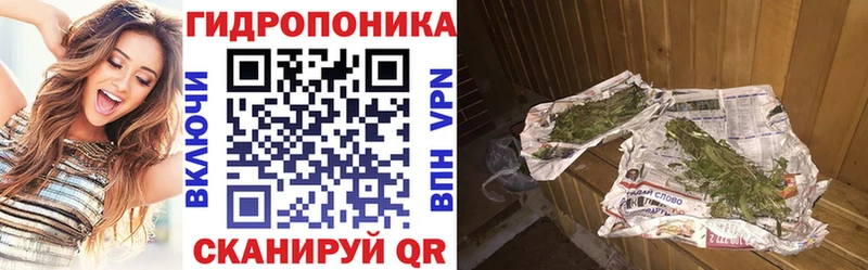 наркота Инта Конопля семена